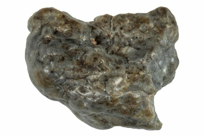 Lunar Meteorite ( g) - Laayoune #281534